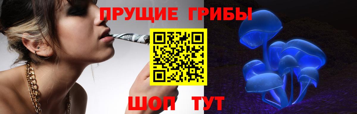 Псилоцибиновые грибы прущие грибы Нефтекамск